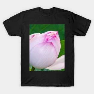 Lotus Flower T-Shirt